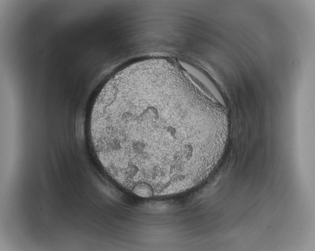 X0000115130299200911241451