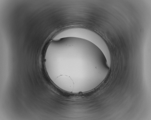 X0000115130300200911241451