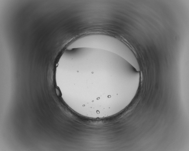 X0000115130301200911241451
