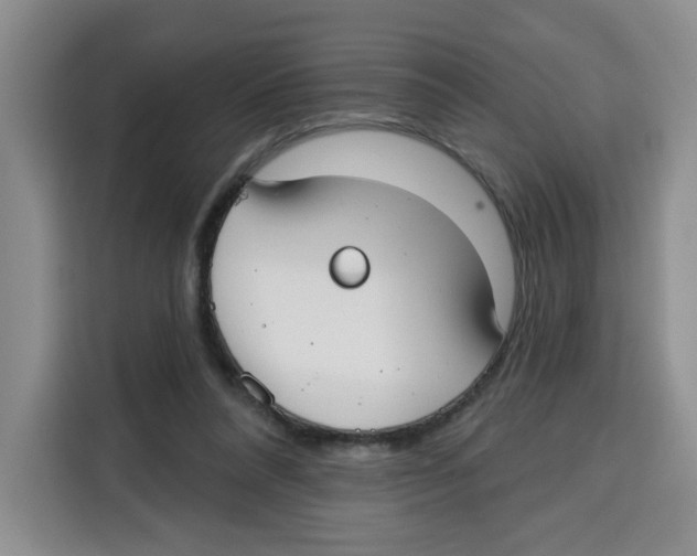X0000115130304200911241451