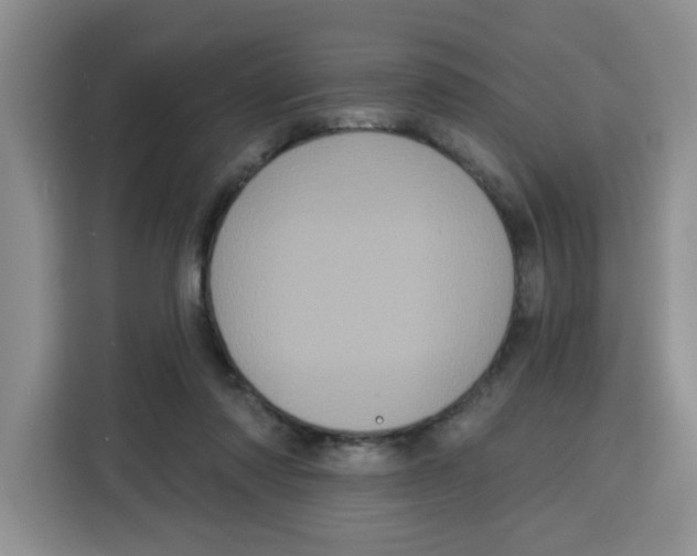 X0000115130310200911241451