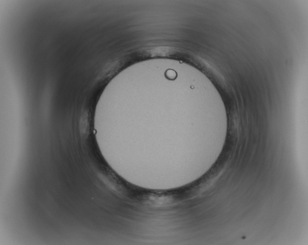 X0000115130311200911241451