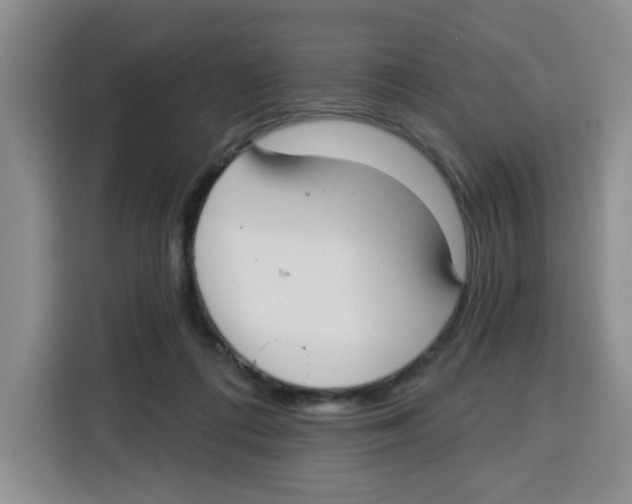 X0000115130312200911241451