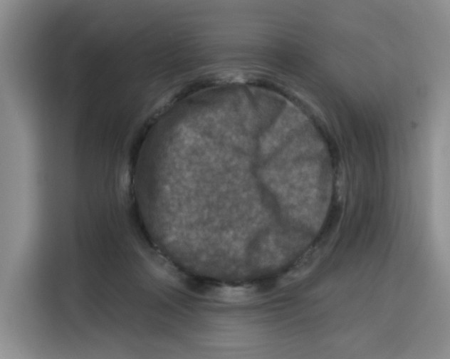 X0000115130314200911241451