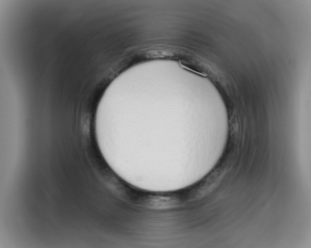 X0000115130315200911241451