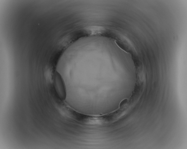 X0000115130316200911241451