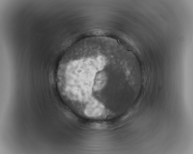 X0000115130317200911241451