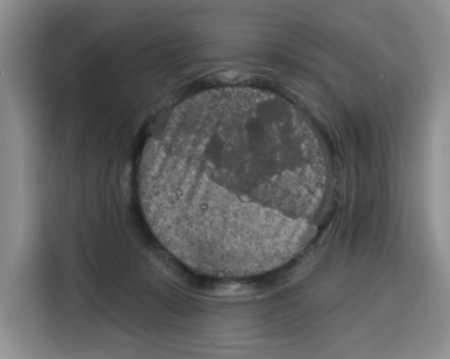 X0000115130319200911241451