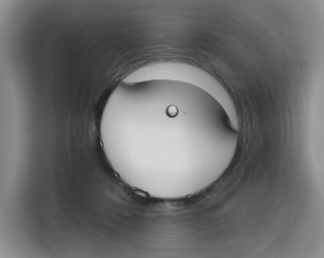 X0000115130320200911241451