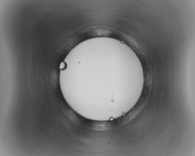 X0000115130321200911241451