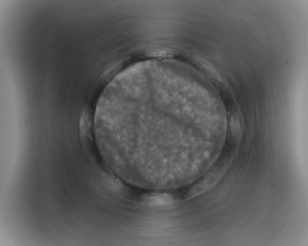 X0000115130322200911241451