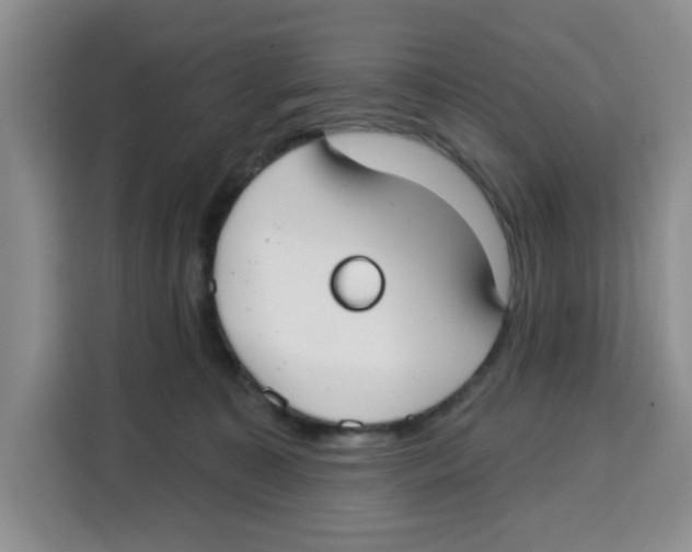 X0000115130323200911241451