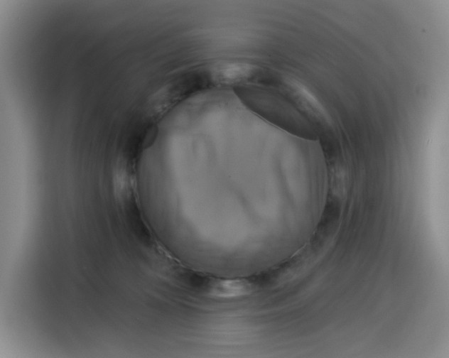 X0000115130324200911241451