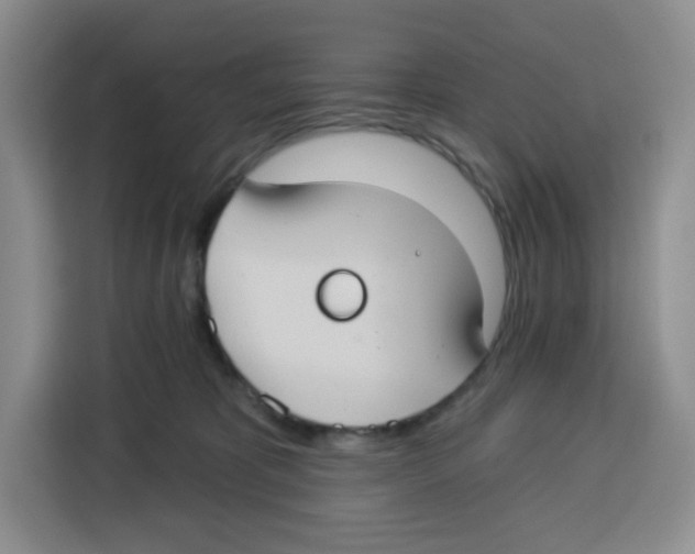 X0000115130325200911241451
