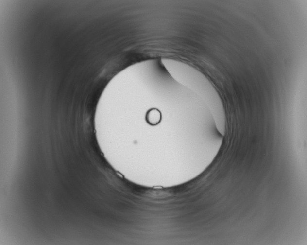 X0000115130327200911241451