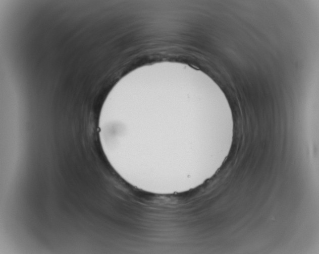 X0000115130328200911241451
