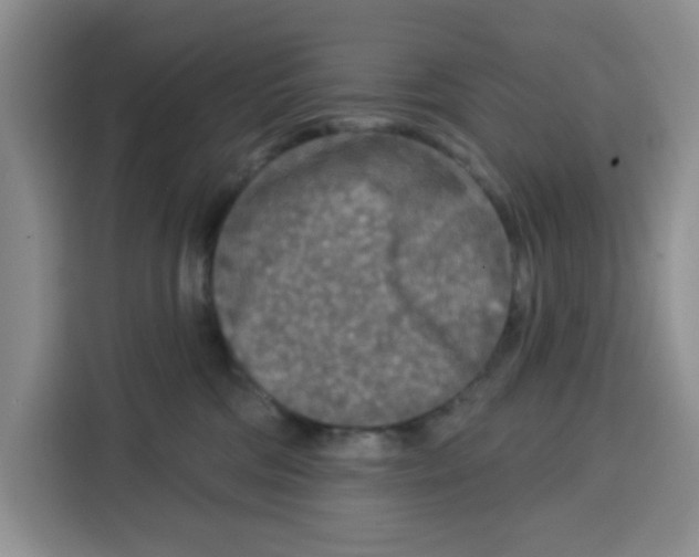X0000115130330200911241451