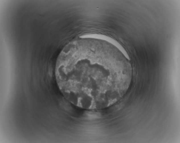 X0000115130331200911241451