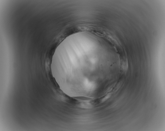 X0000115130332200911241451