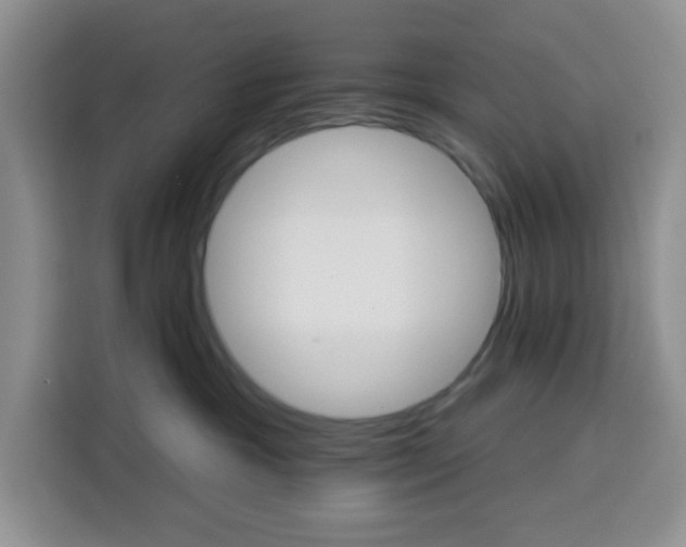 X0000115130333200911241451