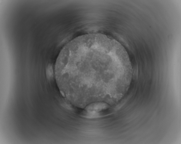 X0000115130335200911241451