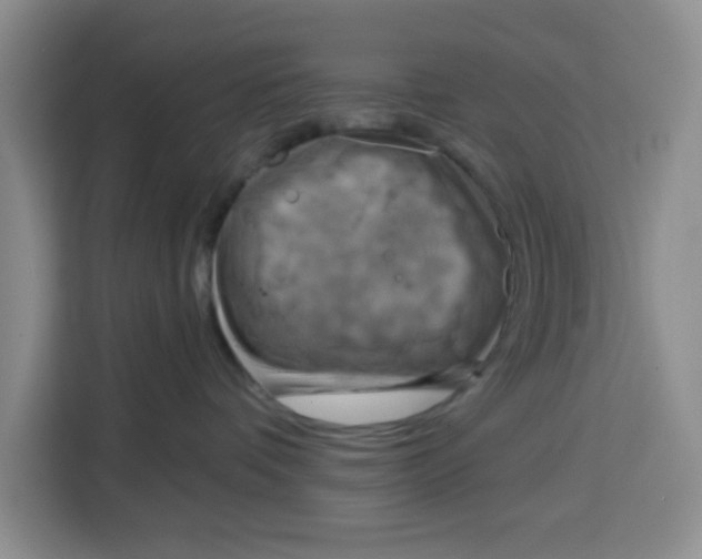 X0000115130336200911241451