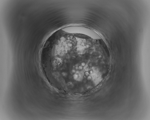 X0000115130337200911241450