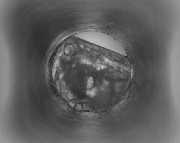 X0000115130339200911241450