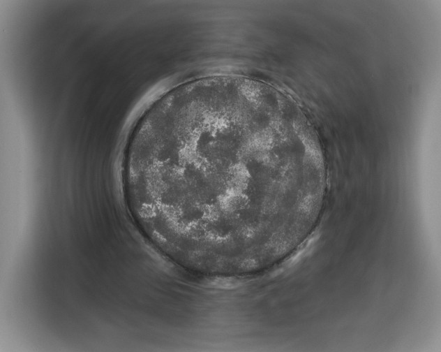 X0000115130341200911241450