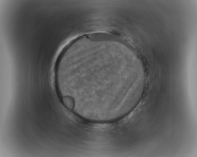 X0000115130342200911241450