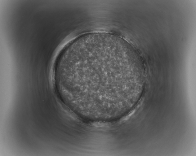 X0000115130343200911241450