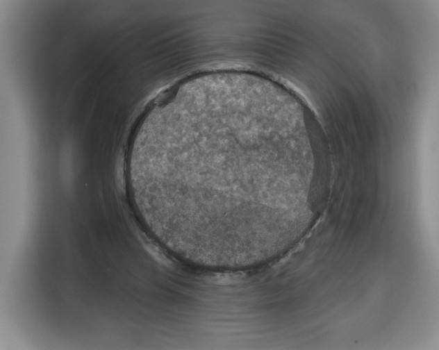 X0000115130345200911241450