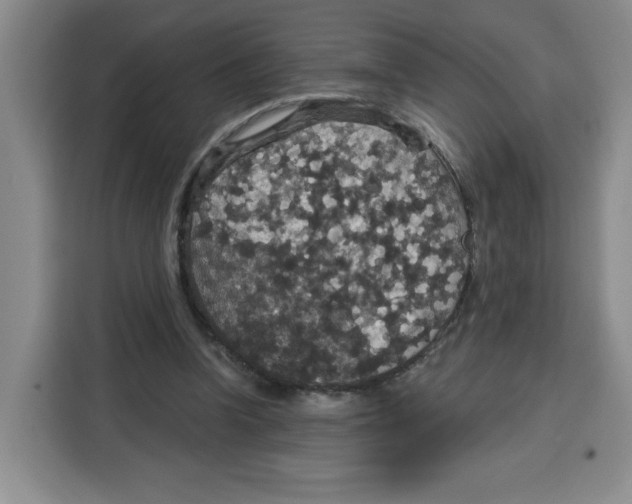 X0000115130346200911241450