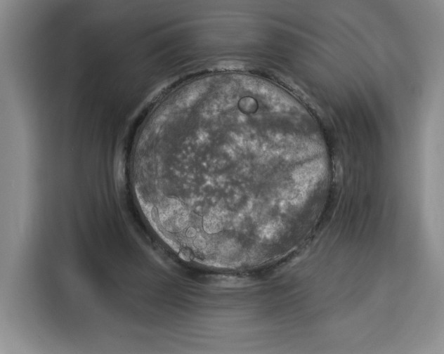 X0000115130347200911241450