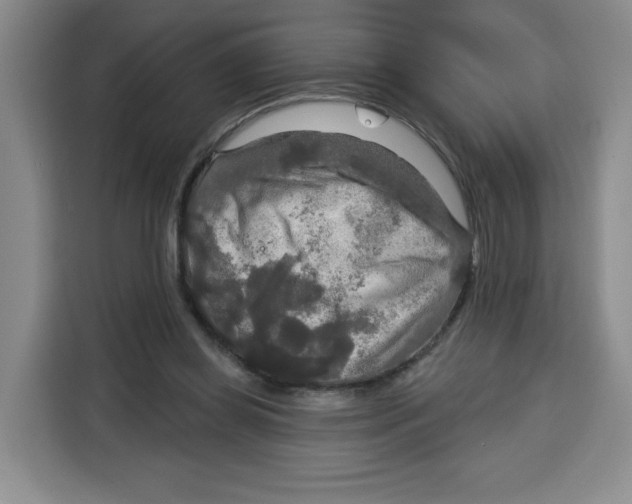 X0000115130349200911241450