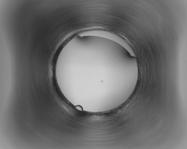 X0000115130350200911241450