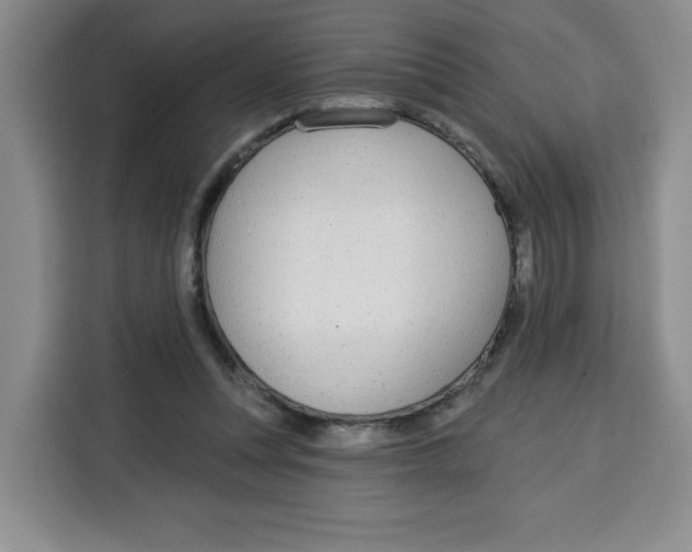 X0000115130351200911241450
