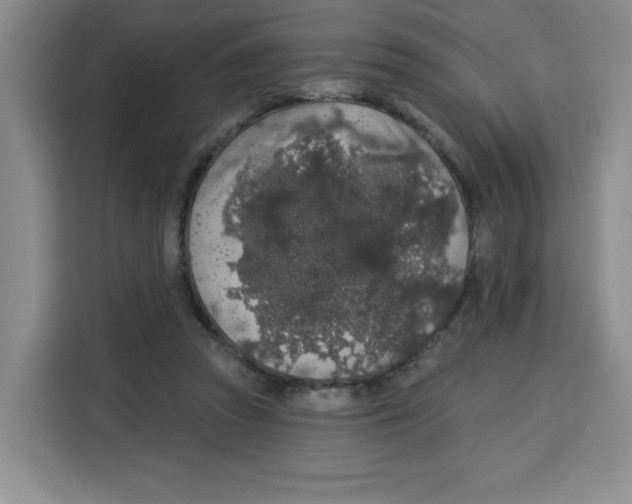 X0000115130353200911241450