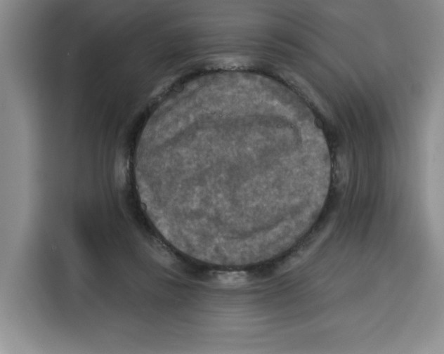 X0000115130355200911241450