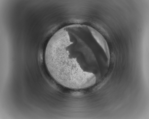 X0000115130358200911241450