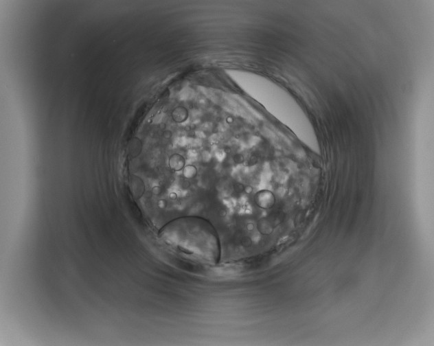 X0000115130359200911241450