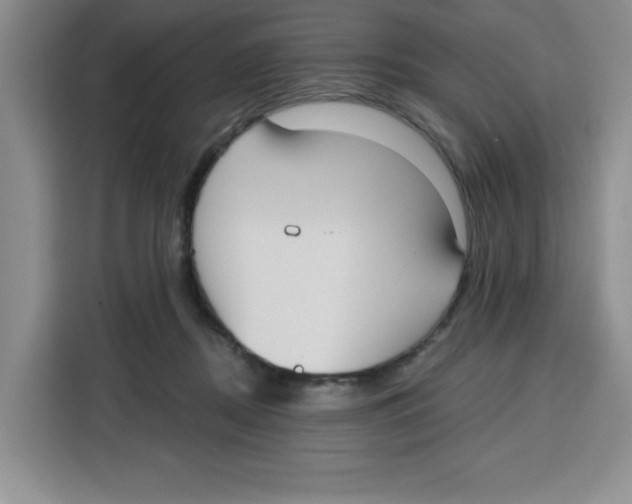 X0000115130362200911241450