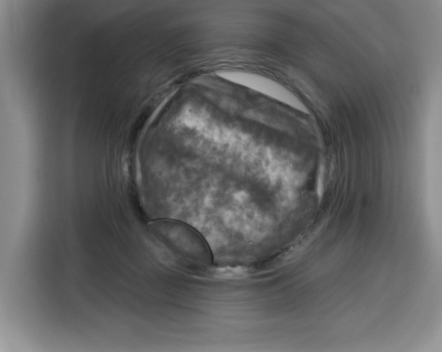 X0000115130363200911241450