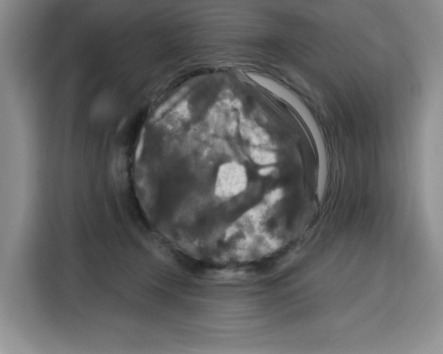 X0000115130366200911241450