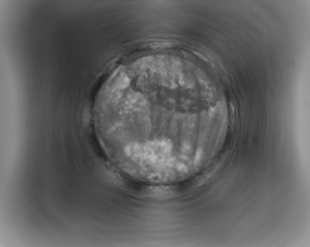 X0000115130367200911241450