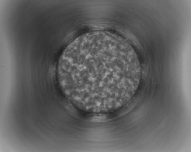X0000115130369200911241450