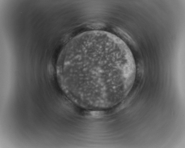 X0000115130371200911241450