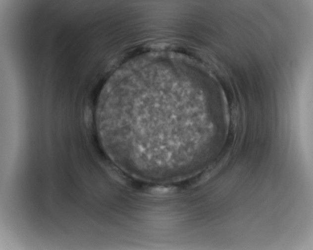 X0000115130375200911241450