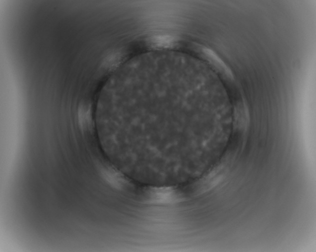 X0000115130377200911241450