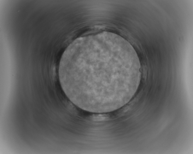 X0000115130378200911241450
